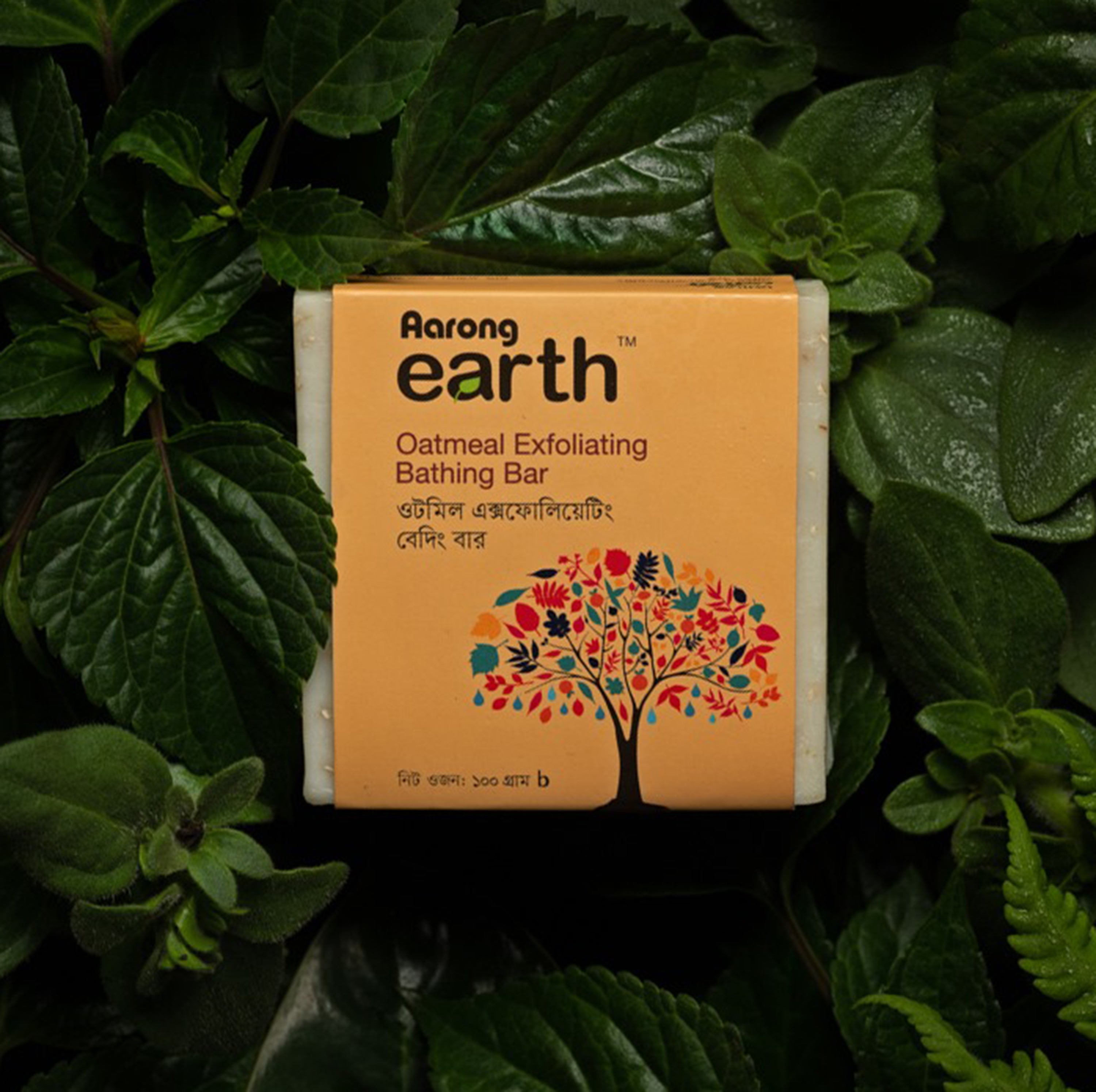 Aarong Earth Oatmeal Exfoliating Bathing Bar(100gm)