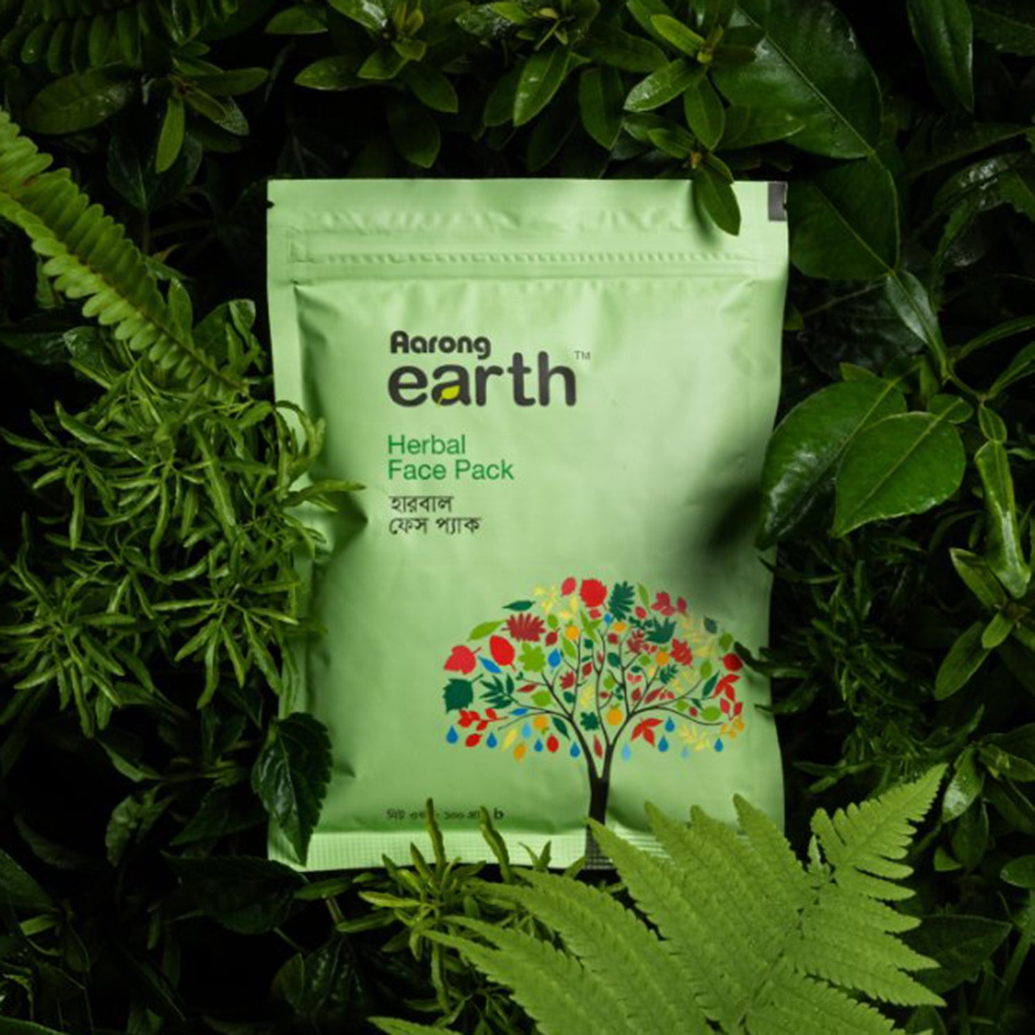 Aarong Earth Herbal Face Pack (100gm)