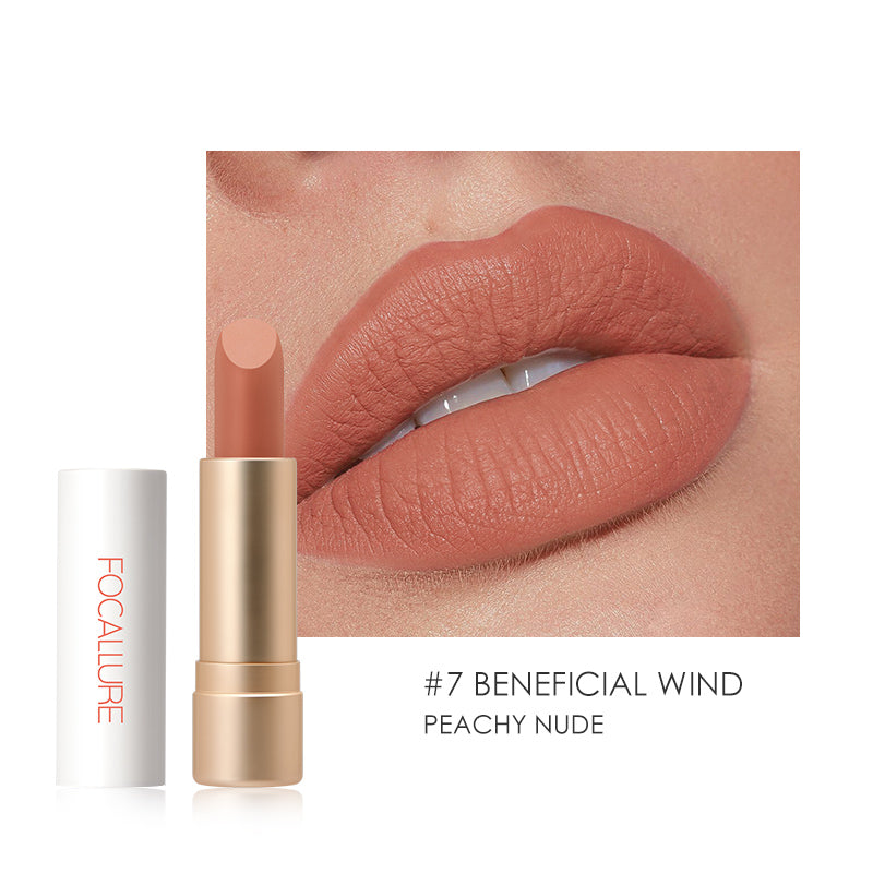 FA 137 - Focallure STAYMAX Powder Matte Lipsticks (3.6gm)