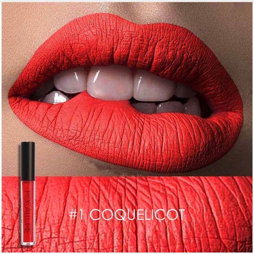 FA 24 - Focallure Waterproof Matte Liquid Lipstick (6gm)