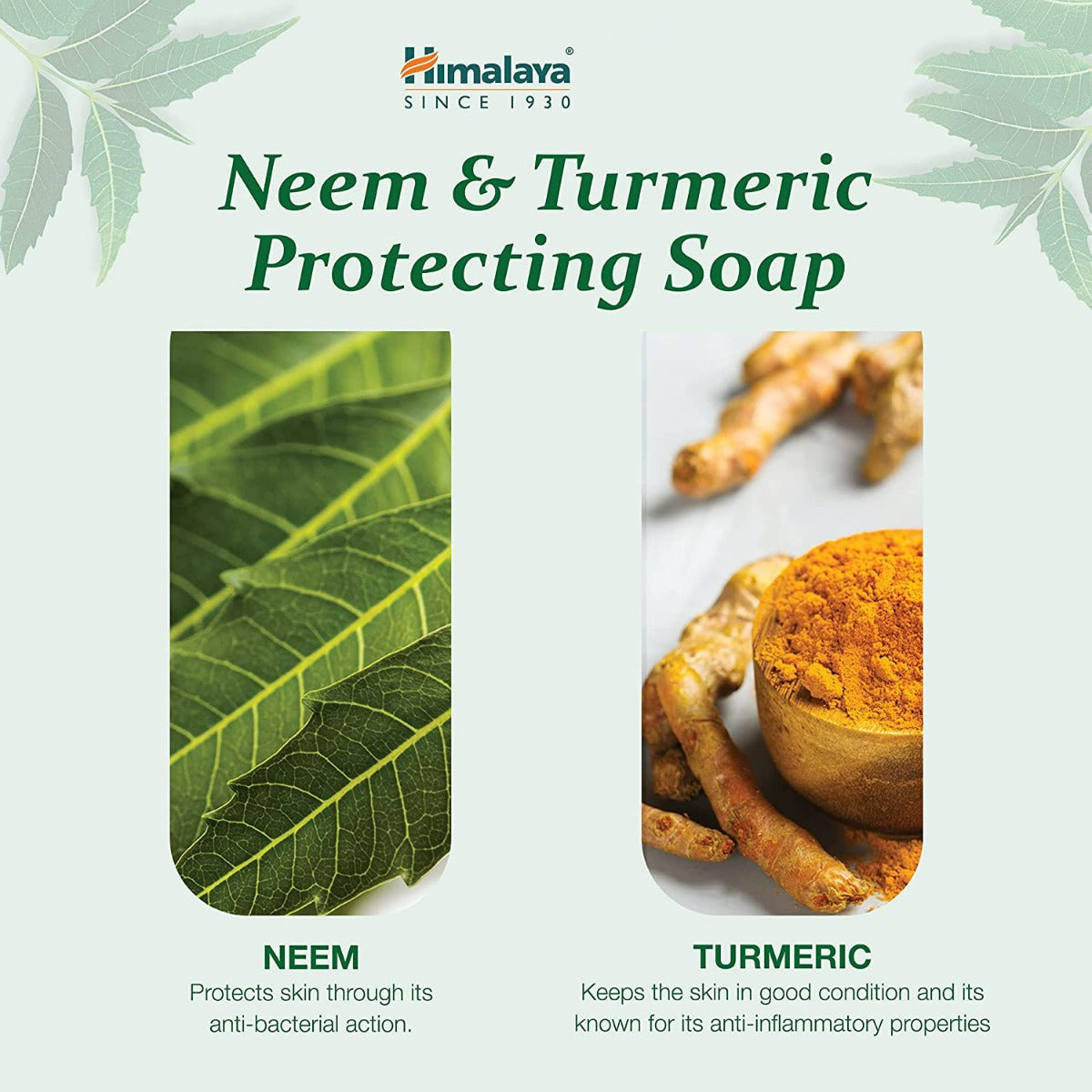 Himalaya Neem and Turmeric Soap (75gm)