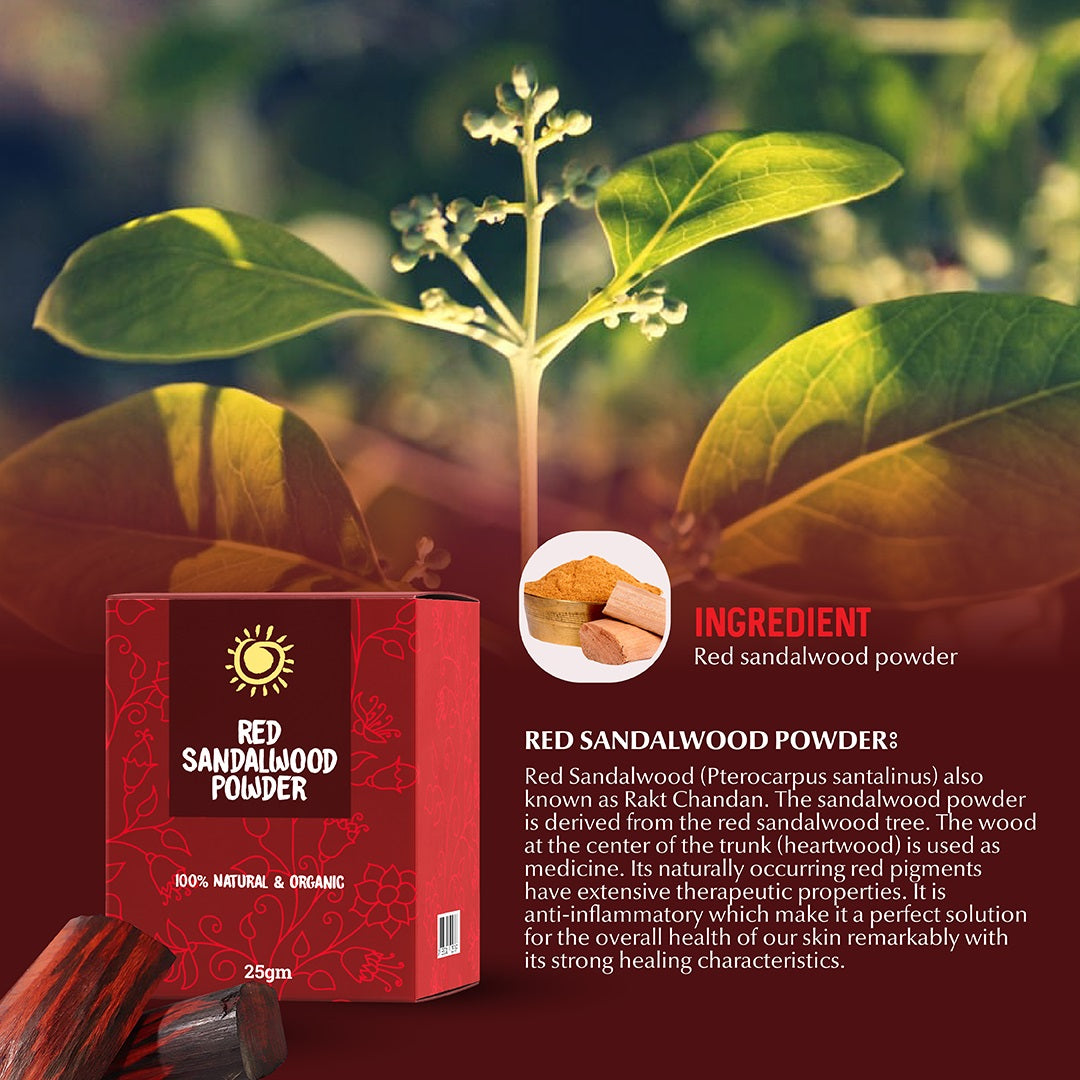 Rajkonna 100% Natural and Organic Red Sandalwood Powder (25gm)